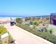 Oceana Towers Rosarito